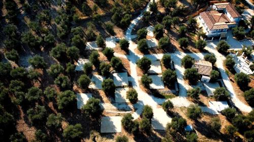 Chiesiola Other | AGRICAMPEGGIO - SOLO PIAZZOLE VUOTE - Agriturismo Passione Natura