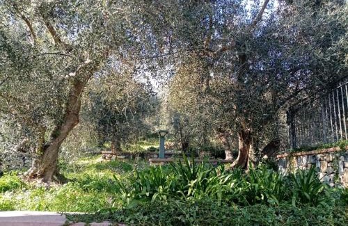 Diano Arentino Apartment | Agrisport Cà di Cuni