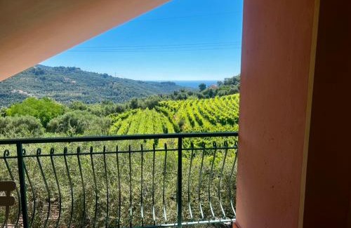 Diano Borello House | Agriturismo Ada Musso ss