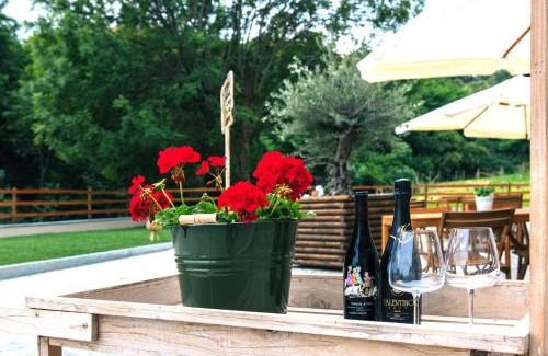Saluzzo House | Agriturismo Agli ulivi