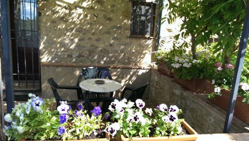 San Dalmazio House | Agriturismo Apparita