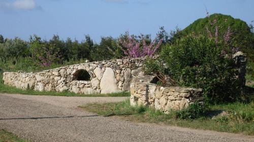 Riola Sardo House | Agriturismo Bachile Bertula