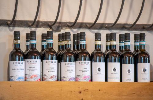 Farigliano Bed & Breakfast | Agriturismo Cantine Bevione - Rooms with air conditioning