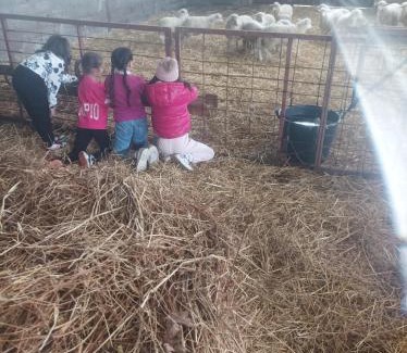 Bagnara Calabra House | Agriturismo - fattoria didattica Caratozzolo