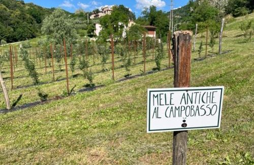 Marostica House | Agriturismo Fattoria Togonegro
