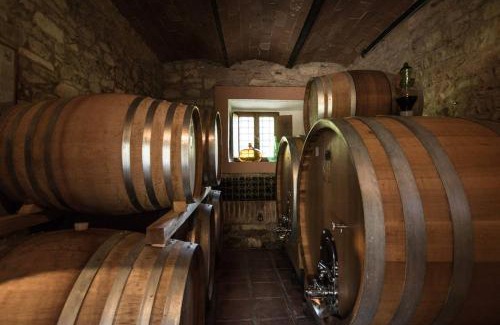 Castellina in Chianti Apartment | Agriturismo Buondonno
