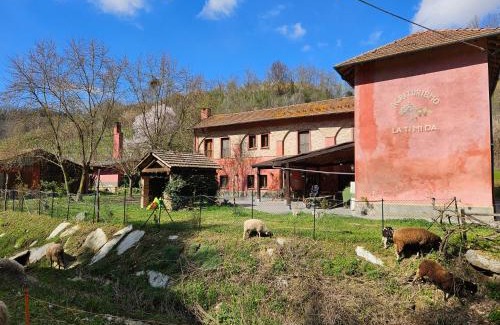 Cassine House | Agriturismo La.Ti.Mi.Da.