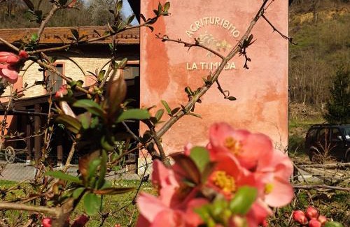 Cassine House | Agriturismo La.Ti.Mi.Da.