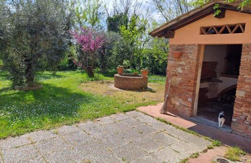 Pontedera House | Agriturismo Podere Travalda