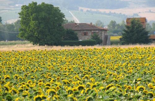 Bibbiena House | Agriturismo Poderi Minori