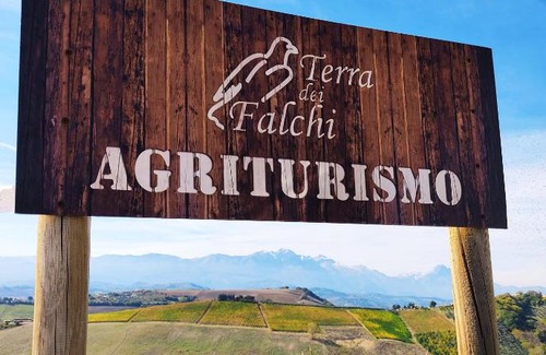 Castilenti House | Agriturismo Terra dei Falchi