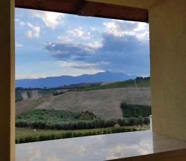 Castilenti House | Agriturismo Terra dei Falchi
