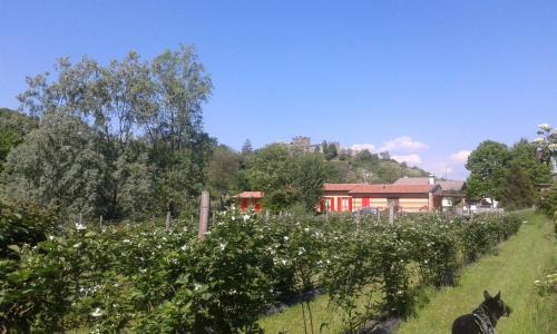 Paratico House | Agriturismo Terra e Lago d'Iseo Franciacorta