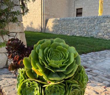 Modica House | AgriturismoBugilfezza di TGESD