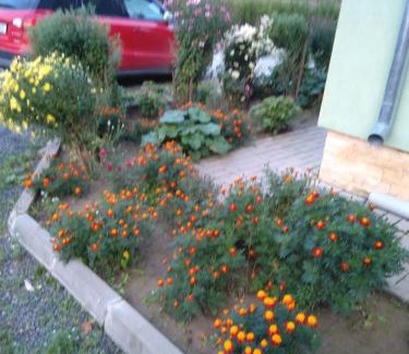 Luncavita House | Agropensiunea Cetatuia