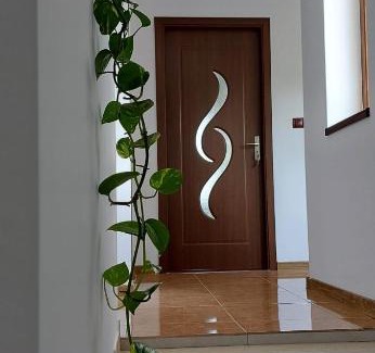 Niculitel House | Agropensiunea Olteanu