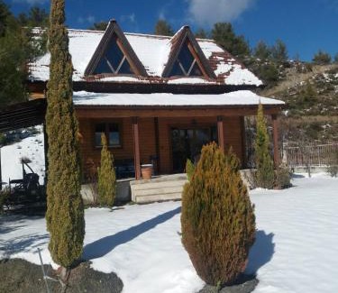 Agros Ski Chalet | Agros Timber Log House