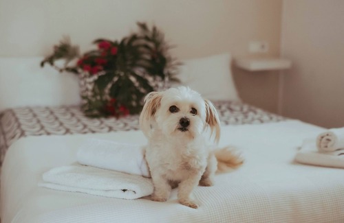 Porreres Other | Agroturismo El Passarell