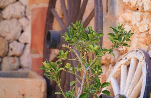 Santanyi Hotel | Agroturismo Finca Sa Tanca