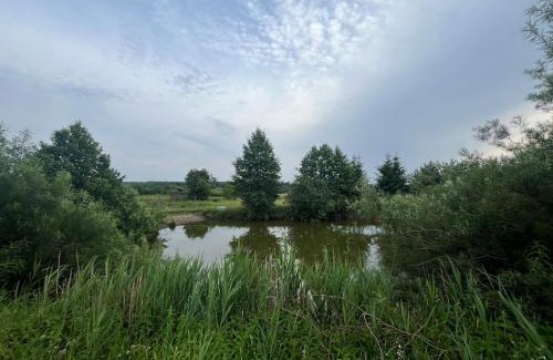 Suprasl Other | Agroturystyka Supraśl 2024