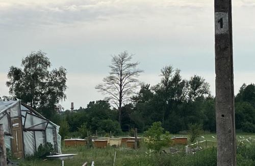 Suprasl Other | Agroturystyka Supraśl 2024