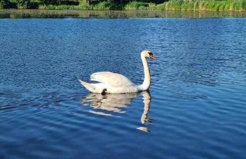 Mszczonow House | Agroturystyka Wręcza
