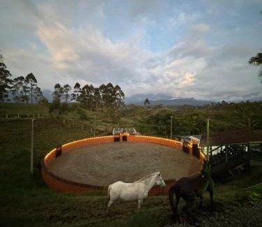 Filandia House | Aguas Claras casa campestre