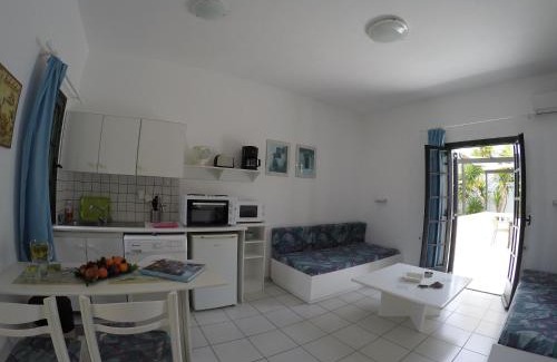 Kokkini Chani Apartment | Aigialis Apartments & Studios