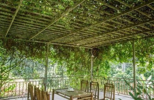 Ba Vi Villa | Airi Villas Ba Vì Venue Travel