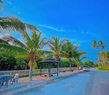 Kampung Teluk Reba Bed & Breakfast | Airport Riverside Roomstay & Homestay