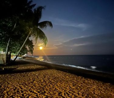 Dauin Resort | AivyMaes Divers Resort