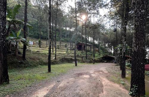 Pacet Hotel | Alas Pacet by TwoSpaces, Mojokerto