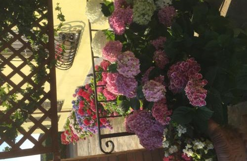 Cocconi Hotel | Albergo Il Gufo