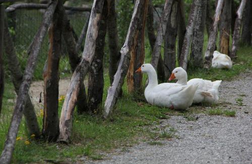 Pennabilli Hotel | Albergo Lago Verde