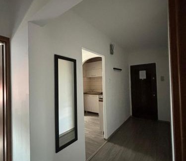 Tirgu Mures Apartment | ALE TEO APARTAMENT