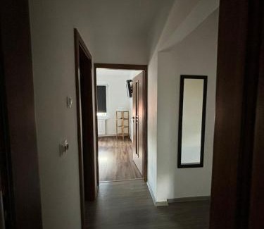 Tirgu Mures Apartment | ALE TEO APARTAMENT