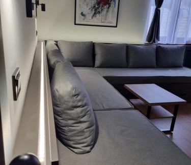 Kopaonik Apartment | ALEGRA Bela reka C118, Brzeće