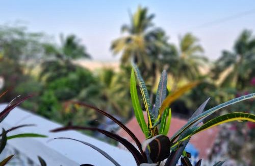 Yesade Villa | Alibag Outpost 2BHK AC Villa nr Kashid Revdanda