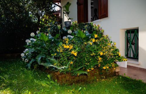 Gavardo Bed & Breakfast | Alice nel Paese delle Meraviglie