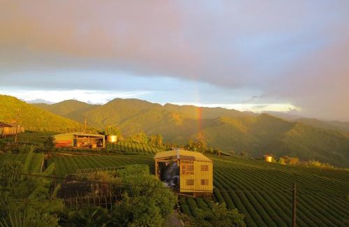 Zhuqi House | Alishan B&B YunMinGi