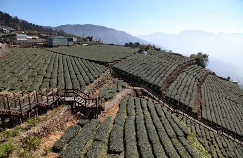 Zhuqi House | Alishan B&B YunMinGi