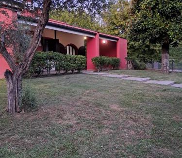 Selvazzano Dentro Bed & Breakfast | All'ombra della magnolia