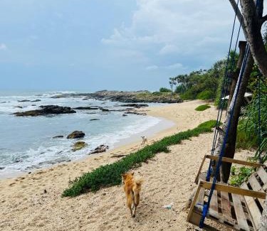 Rekawa Hotel | All View Resort