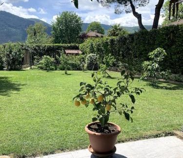 Bruino Apartment | Alle porte di Torino, ai piedi del M.te S. Giorgio