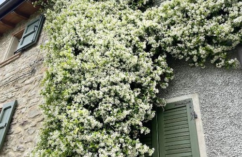 Albinea House | Alloggio con camino nel borgo del castello