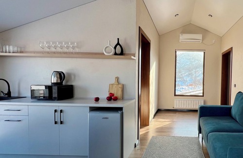 Bostandyk District House | Alma Hills House
