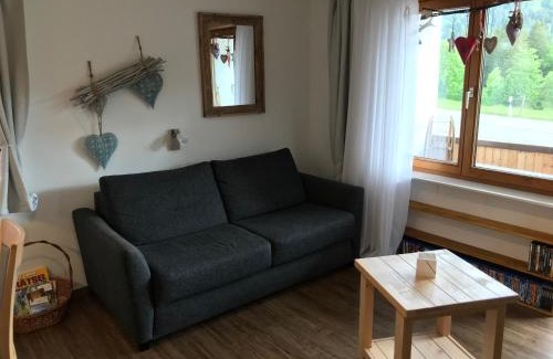 Balderschwang Apartment | Almblick Ferienwohnung
