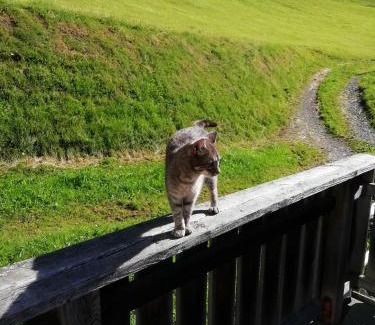 Reichenau Apartment | Almhaus Margit