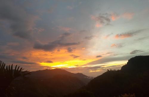 Ella Bed & Breakfast | Aloft View