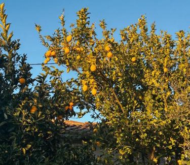 Oleiros Villa | Alojamento Local Vale dos Vascos